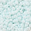 3/0 Glass Seed Beads SEED-L011-03A-09-3