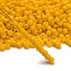 TOHO 6/0 Round Beads X-SEED-TR06-0042B-2