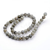 Natural Labradorite Bead Strands G-K152-03-8mm-1