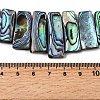 Natural Paua Shell Beads Strands BSHE-S305-01B-4