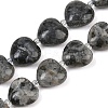 Natural Labradorite Beads Strands G-B022-32C-A-2