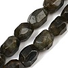 Natural Labradorite Beads Strands G-F796-C10-01-2
