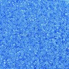 MIYUKI Delica Beads X-SEED-J020-DB1109-3