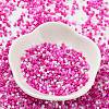 Baking Paint Glass Seed Beads SEED-S042-05B-47-2