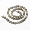 Natural Labradorite Beads Strands G-G736-04-4mm-2