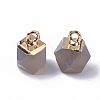 Natural Grey Agate Charms G-S359-015D-3