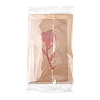 3 Sets Kraft Paper Greeting Cards AJEW-FS0001-27A-6