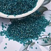 MIYUKI Delica Beads SEED-X0054-DB1764-1