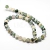 Natural Tree Agate Frosted Agate Round Gemstone Beads Strands X-G-O151-01-8mm-2