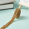 Glitter Resin Hotfix Rhinestone(Hot Melt Adhesive On The Back) OCOR-TAC0004-B-02-4