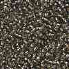 TOHO Round Seed Beads SEED-XTR08-0029-2