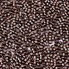 FGB 11/0 Grade A Glass Seed Beads SEED-S030-1205-2