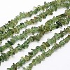 Chips Natural Green Apatite Beads Strands X-G-N0164-26-1