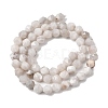 Natural Crazy Agate Beads Strands G-Z119-A12-01-4