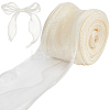 Polyester Organza Ribbons SRIB-WH20020-003B-01-1