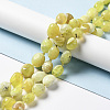 Natural Yellow Opal Beads Strands G-B028-B13-3