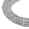 Natural Labradorite Beads Strands LS-G-A097-A07-01-4