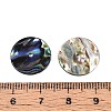 Natural Paua Shell Beads SSHEL-N040-20B-3