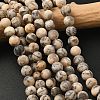 Natural Feldspar Bead Strands G-P295-06-8mm-1