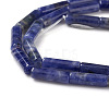 Natural Sodalite Beads Strands X-G-F247-30-3