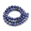 Natural Brazil Blue Spot Jasper Beads Strands G-S259-36-10mm-2