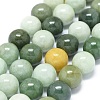 Natural Jadeite Beads Strands G-G789-01D-1