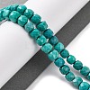Natural Howlite Beads Strands G-G001-B02-03-2