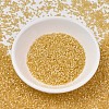 MIYUKI Delica Beads SEED-J020-DB1801-2