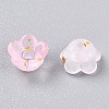Frosted Transparent Acrylic Beads LS-X-OACR-N137-72B-3