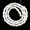 Natural Freshwater Shell Beads Strands SHEL-N026-150-2