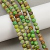 Dyed Natural Regalite/Imperial Jasper/Sea Sediment Jasper Beads Strands G-B124-C04-06-5