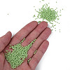 11/0 Czech Opaque Glass Seed Beads SEED-N004-003B-34-5