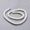 Disc Natural Sea Shell Beads Strands SSHEL-F290-21-2