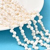 Natural Cultured Freshwater Pearl Beads Strands PEAR-I007-03B-02A-1