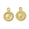 304 Stainless Steel Charms STAS-L269-070G-2