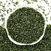 Baking Paint Silver Lined Glass Seed Beads SEED-H003-09D-3