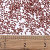 MIYUKI Delica Beads X-SEED-J020-DB2179-4