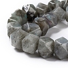 Natural Labradorite Beads Strands G-I194-46-2