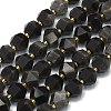 Natural Silver Obsidian Beads Strands G-I376-A31-01-1