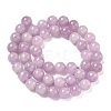 Natural Kunzite Beads Strands G-H313-01B-8mm-8