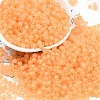 6/0 Luminous Glass Seed Beads SEED-NH0001-01E-2