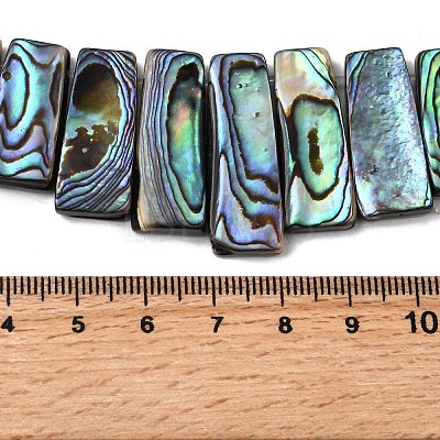 Natural Paua Shell Beads Strands BSHE-S305-01B-1