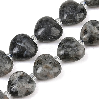 Natural Labradorite Beads Strands G-B022-32C-A-1