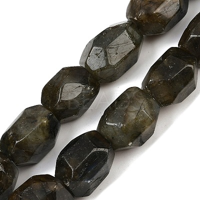 Natural Labradorite Beads Strands G-F796-C10-01-1