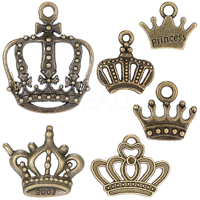 60Pcs 6 Styles Tibetan Style Alloy Charms FIND-BM0001-46-1