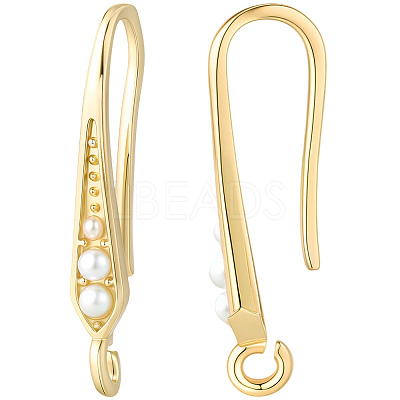 10 Pairs Rack Plating Brass Earring Hooks EJEW-BBC0002-26-1