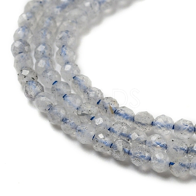 Natural Labradorite Beads Strands LS-G-A097-A07-01-1