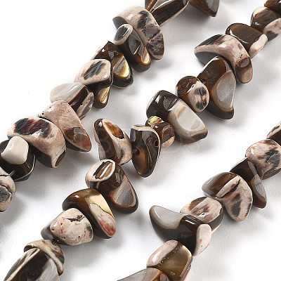 Dyed Natural Trochus Shell Beads Strands BSHE-Z006-01B-1