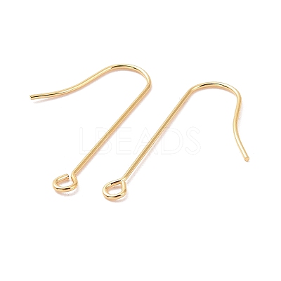 316 Surgical Stainless Steel Earring Hooks X-STAS-E027-02B-G-1