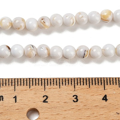 Assembled Synthetic Stone and Trochus Shell Beads Strands G-B128-08A-01-1